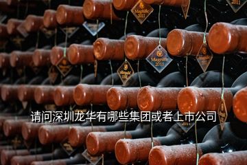 请问深圳龙华有哪些集团或者上市公司