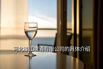 河北珠江啤酒有限公司的具体介绍