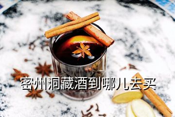 密州洞藏酒到哪儿去买