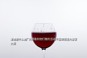 潭酒是什么酒厂的啊看到他们做的活动不错嘛赠送力度很大啊