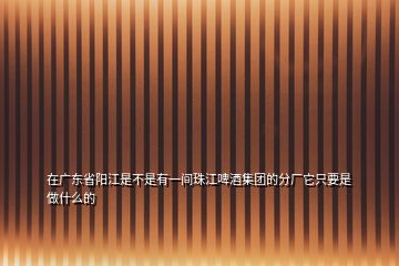 在广东省阳江是不是有一间珠江啤酒集团的分厂它只要是做什么的