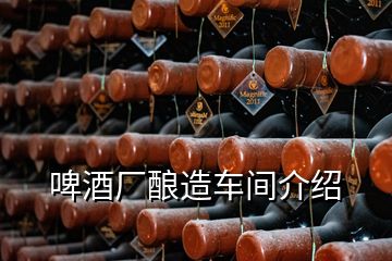 啤酒厂酿造车间介绍