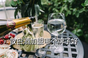 散白酒加盟哪个牌子好