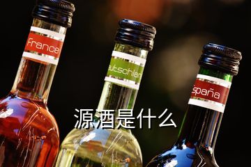 源酒是什么