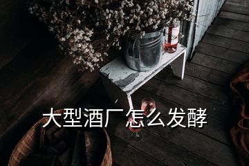 大型酒厂怎么发酵