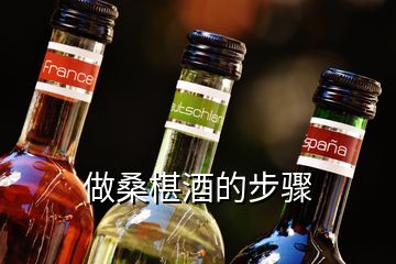 做桑椹酒的步骤