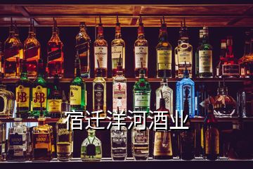 宿迁洋河酒业