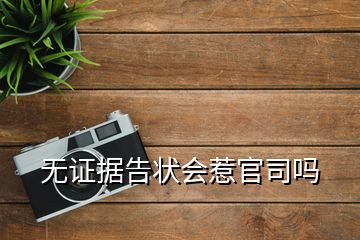 无证据告状会惹官司吗