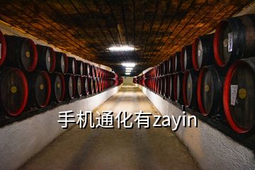 手机通化有zayin