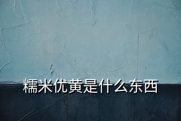 糯米优黄是什么东西