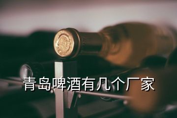 青岛啤酒有几个厂家