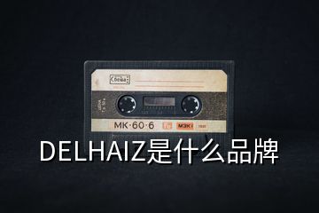 DELHAIZ是什么品牌