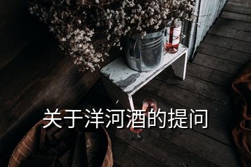 关于洋河酒的提问