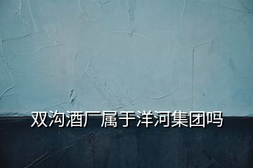 双沟酒厂属于洋河集团吗