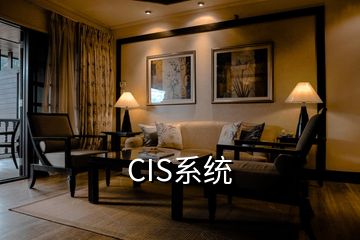 CIS系统