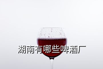 湖南有哪些啤酒厂