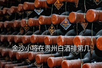 金沙小将在贵州白酒排第几