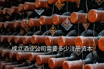 成立酒业公司需要多少注册资本