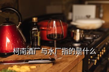 柯南酒厂与水厂指的是什么