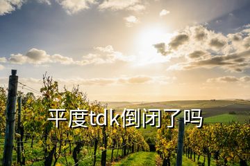 平度tdk倒闭了吗