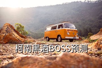 柯南黑酒BOSS预测