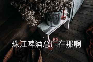 珠江啤酒总厂在那啊