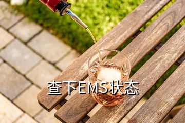 查下EMS状态