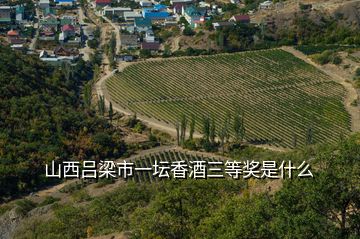 山西吕梁市一坛香酒三等奖是什么