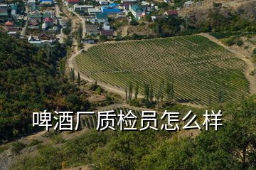 啤酒厂质检员怎么样