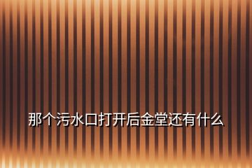 那个污水口打开后金堂还有什么