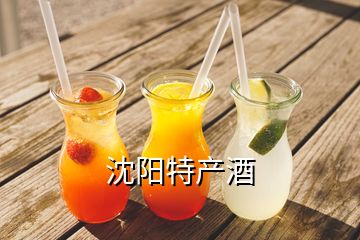 沈阳特产酒