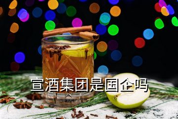 宣酒集团是国企吗