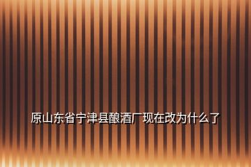 原山东省宁津县酿酒厂现在改为什么了