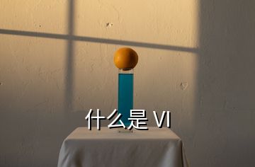 什么是 VI