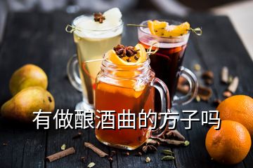 有做酿酒曲的方子吗