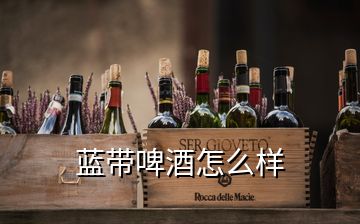 蓝带啤酒怎么样