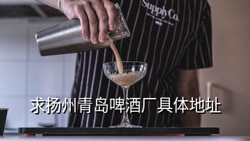 求扬州青岛啤酒厂具体地址