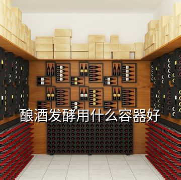 酿酒发酵用什么容器好