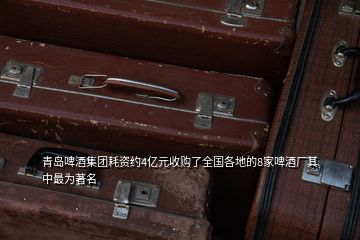 青岛啤酒集团耗资约4亿元收购了全国各地的8家啤酒厂其中最为著名