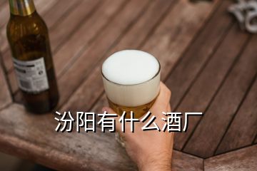 汾阳有什么酒厂