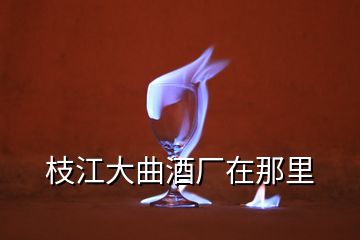 枝江大曲酒厂在那里