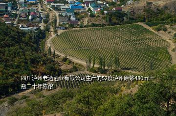 四川泸州老酒酒业有限公司生产的52度泸州原浆480ml一瓶二十年陈酿