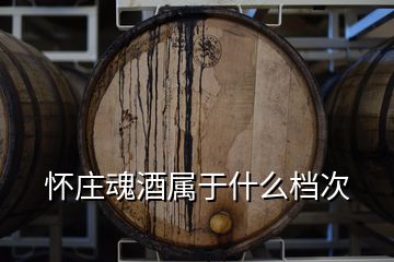 怀庄魂酒属于什么档次