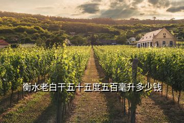 衡水老白干五十五度五百毫升多少钱