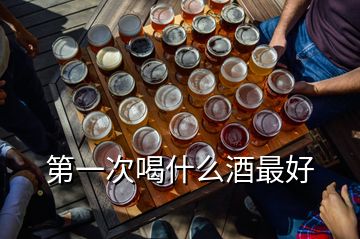 第一次喝什么酒最好