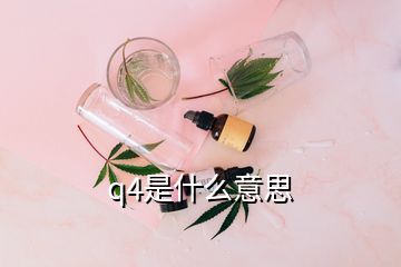 q4是什么意思