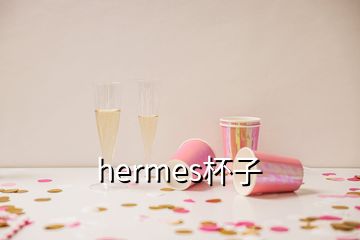 hermes杯子