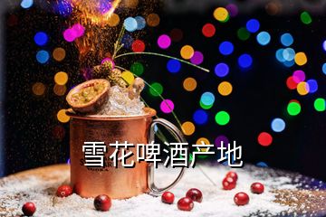 雪花啤酒产地