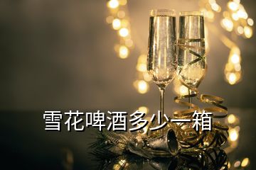 雪花啤酒多少一箱