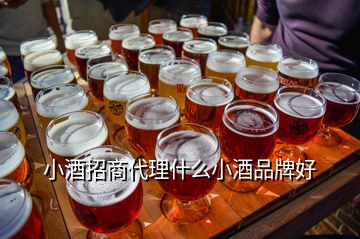 小酒招商代理什么小酒品牌好